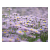 Bloc-note Fleurs d'aster violet (Devant)