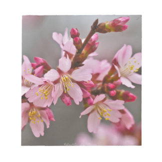 Bloc-note Fleurs de cerisier japonaises roses sur un ciel gr