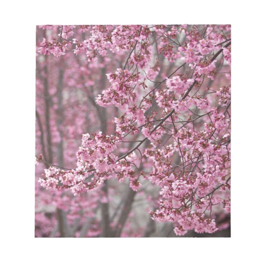 Bloc-note Fleurs de cerisier Sakura rose flottant (Devant)