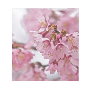 Bloc-note Fleurs de cerisier Sakura rose pâle