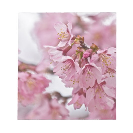 Bloc-note Fleurs de cerisier Sakura rose pâle (Devant)