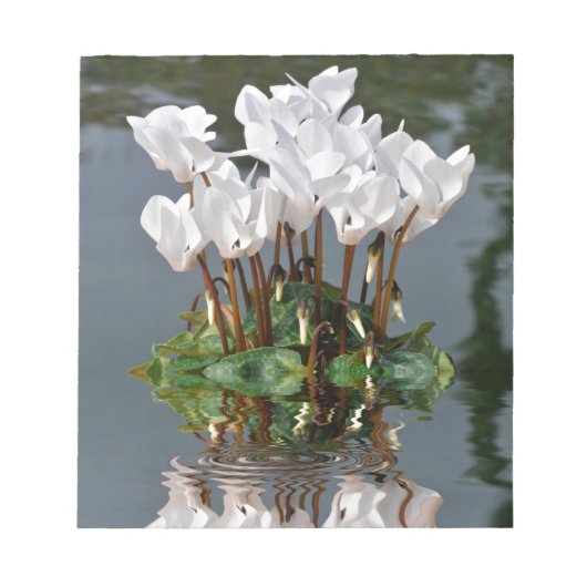 Bloc-note Fleurs de cyclamen blanc dans l'eau (Devant)