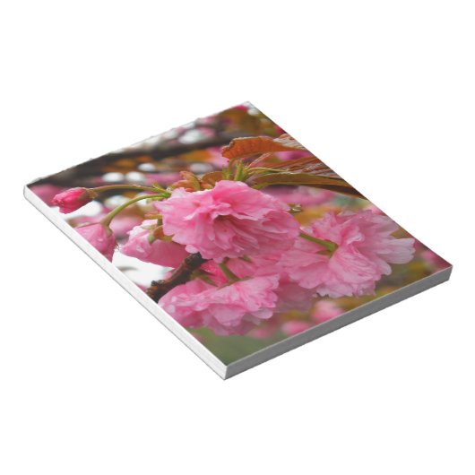 Bloc-note Fleurs de fleurs de cerisier rose chaud (Incliné)
