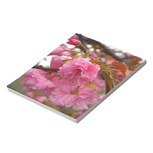 Bloc-note Fleurs de fleurs de cerisier rose chaud (Tourné)