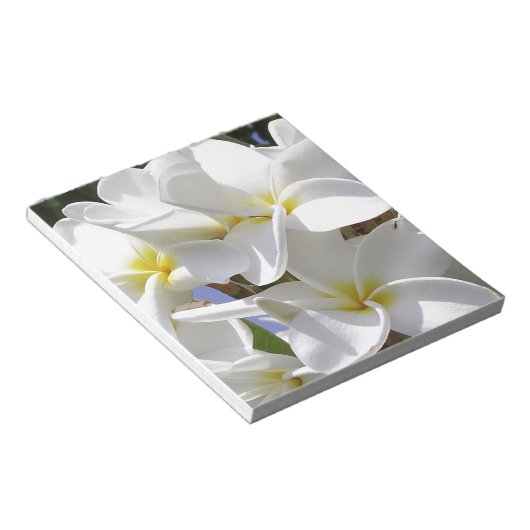 Bloc-note Fleurs de la Plumeria tropicale (Incliné)