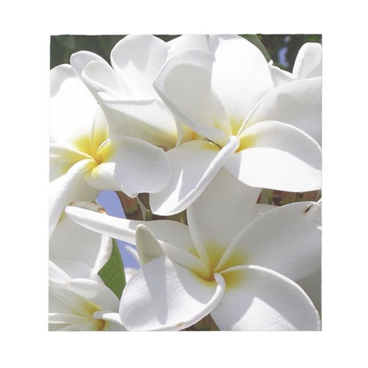 Bloc-note Fleurs de la Plumeria tropicale (Devant)