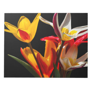 Bloc-note Fleurs de tulipe contre arrière - plan noir