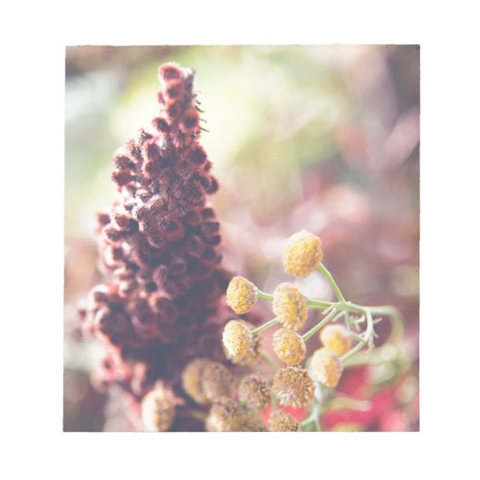 Bloc-note fleurs éternelles (Devant)