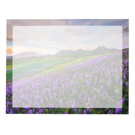 Bloc-note Fleurs | Fleurs sauvages californiens (Devant)