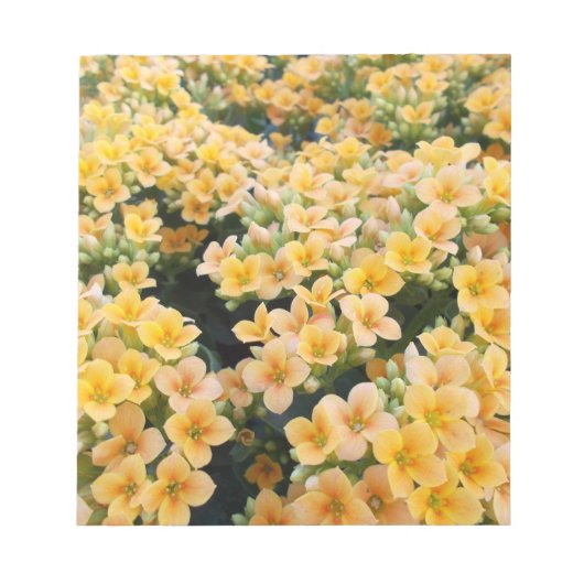 Bloc-note Fleurs Jaunes (Devant)