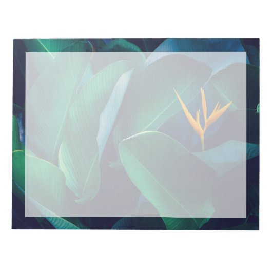 Bloc-note Fleurs | Oiseau du paradis (Devant)
