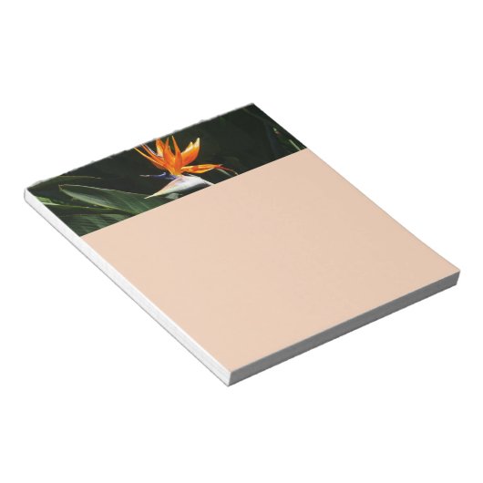 Bloc-note Flower tropical orange paradise (Incliné)