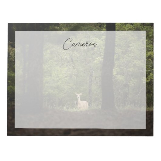 Bloc-note Forest | A White Tailed Deer in the Woods (Devant)