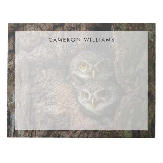 Bloc-note Forest | Deux Owls Looking (Devant)