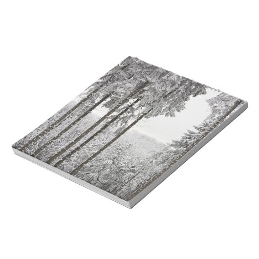 Bloc-note Forêt à feuillage persistant en hiver (Tourné)