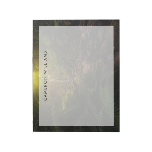 Bloc-note Forêt | Cascade Sunlight Highlights (Tourné)