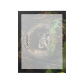 Bloc-note Forêt | Raccoon Peeking (Tourné)