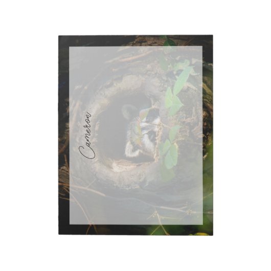 Bloc-note Forêt | Raccoon Peeking (Tourné)