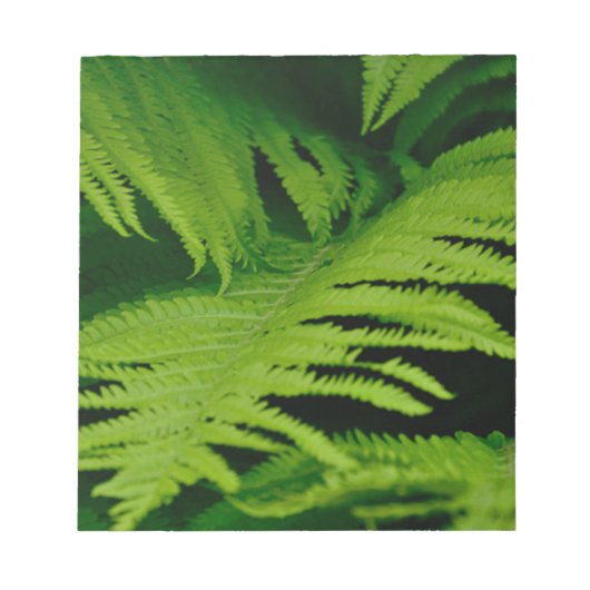 Bloc-note Forêts et jungles (Devant)