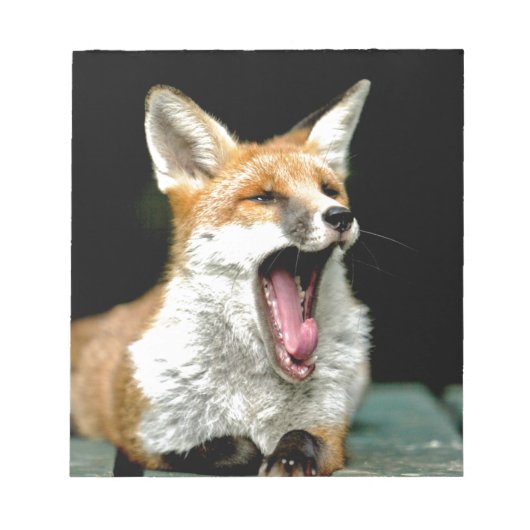 Bloc-note Fox - photo pro (Devant)