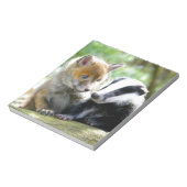 Bloc-note Foxcub & Badger Cute ! (Tourné)
