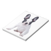 Bloc-note Frenchie - Chien français (Tourné)
