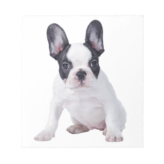 Bloc-note Frenchie - Chien français (Devant)