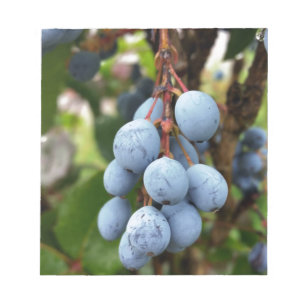 Bloc-note Fruit d'épine noire
