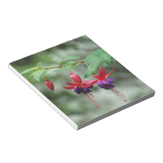 Bloc-note Fuschia1A.jpg (Incliné)