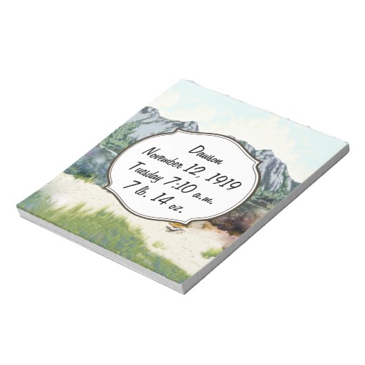 Bloc-note Futur dossier de naissance de bébé garçon pilote (Tourné)