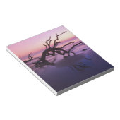 Bloc-note GA Jekyll Island, cimetière d'arbre sur la plage à (Incliné)