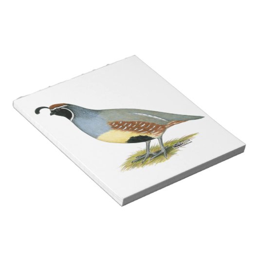Bloc-note Gambel's Desert Quail (Incliné)