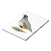Bloc-note Gambel's Desert Quail (Tourné)