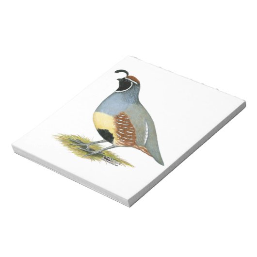 Bloc-note Gambel's Desert Quail (Tourné)