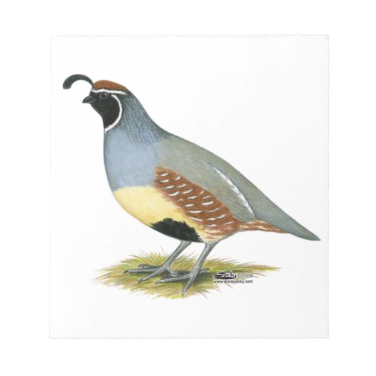Bloc-note Gambel's Desert Quail (Devant)