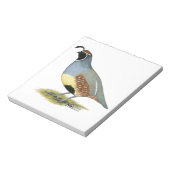 Bloc-note Gambel's Desert Quail (Tourné)