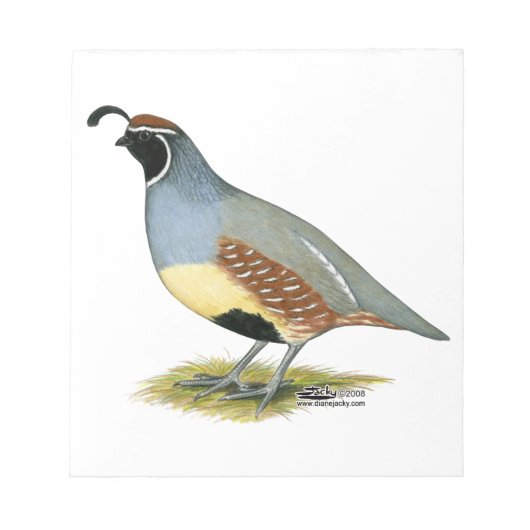 Bloc-note Gambel's Desert Quail (Devant)