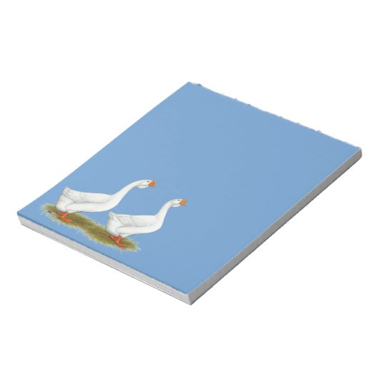 Bloc-note Geese de l'Afrique blanche (Tourné)