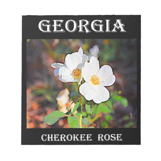 Bloc-note Georgia Cherokee Rose (Devant)