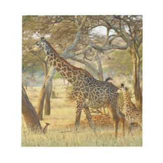 Bloc-note Girafe femelle adulte et juvénile, Giraffa