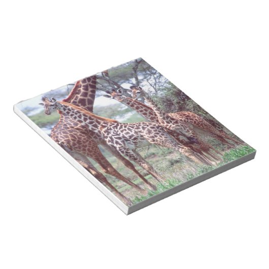 Bloc-note Giraffa Group ou Herd avec Young, Giraffa (Incliné)