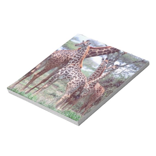 Bloc-note Giraffa Group ou Herd avec Young, Giraffa (Tourné)