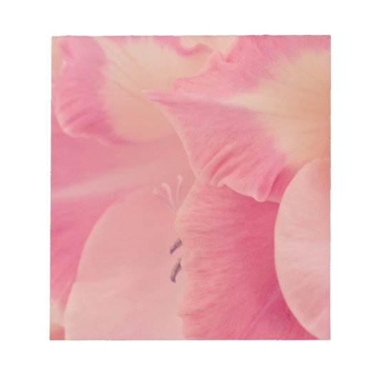 Bloc-note Gladiola Petals (Devant)