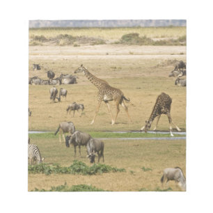 Bloc-note Gnous, Zèbres et Girafes