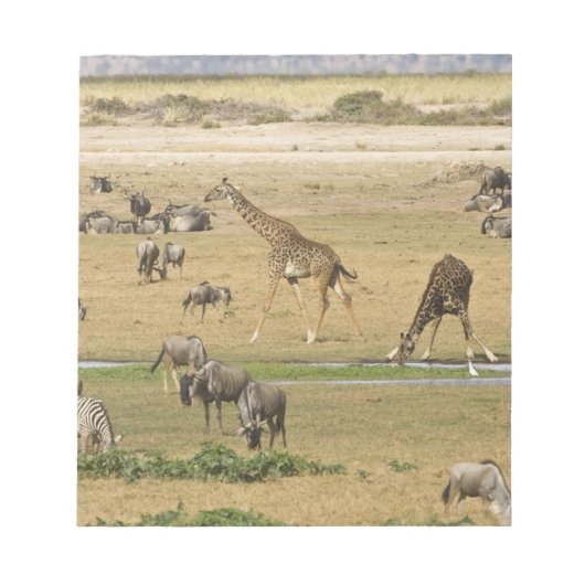 Bloc-note Gnous, Zèbres et Girafes (Devant)