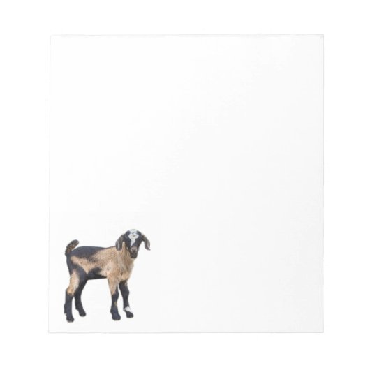 Bloc-note Goat baby note pad (Devant)