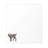 Bloc-note Goat baby note pad (Devant)