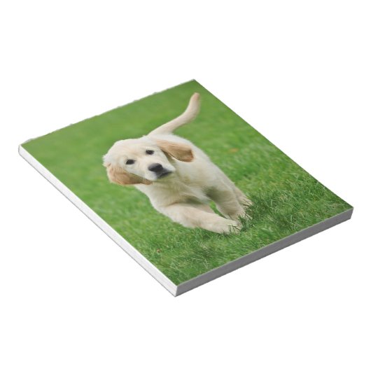 Bloc-note Golden retriever (Incliné)