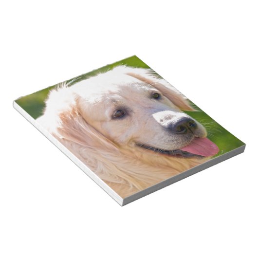 Bloc-note Golden Retriever (Incliné)