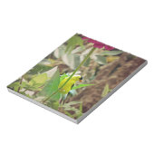 Bloc-note Goldfinch (Tourné)